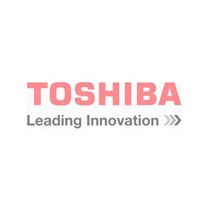 Toshiba    100     2012 